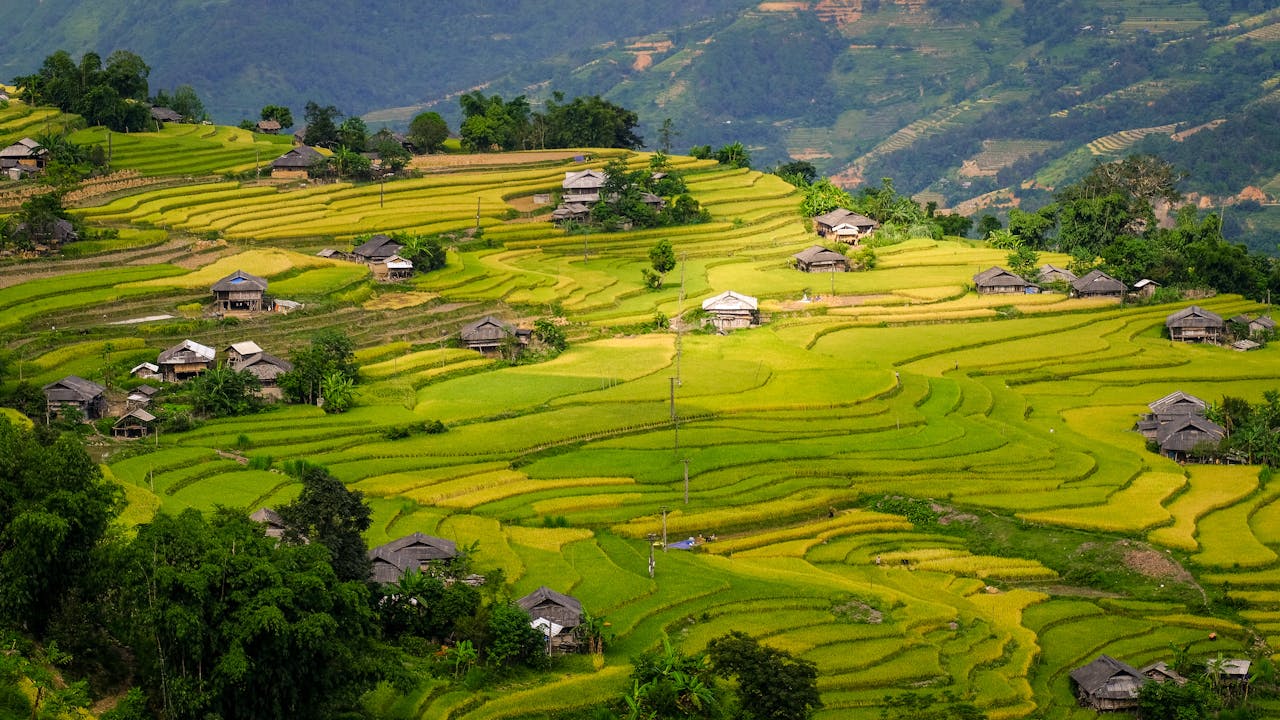 Breathtaking view of rice terraces and traditional homes in Hà Giang, Vietnam.